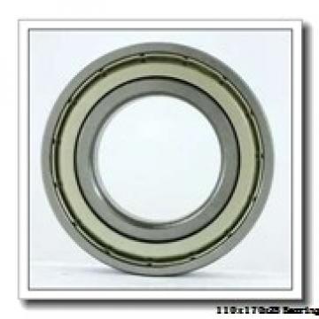 110 mm x 170 mm x 28 mm  FAG HCB7022-C-T-P4S angular contact ball bearings