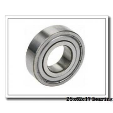 25 mm x 62 mm x 17 mm  ISO NP305 cylindrical roller bearings