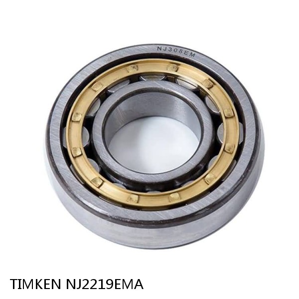 NJ2219EMA TIMKEN Cylindrical Roller Radial Bearings
