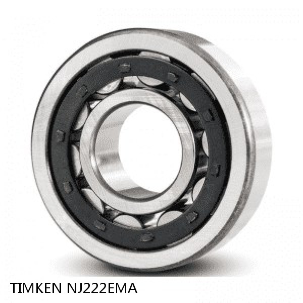 NJ222EMA TIMKEN Cylindrical Roller Radial Bearings